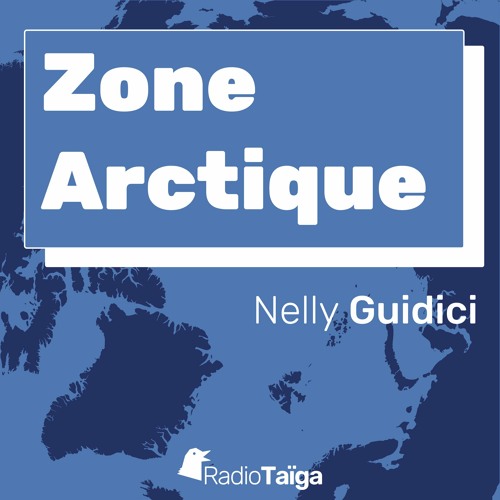 Zone arctique : Initiatives de protection de l'environnement aux TNO par Nelly Guidici