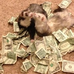 Where The Money Flows - Peter Cat Recording Co. (cover)