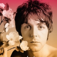 Maybe Im Amazed [Matt Gunn Mix]