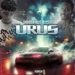 URUS