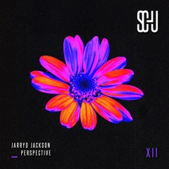 Jarryd Jackson - Perspective [SCHU12]