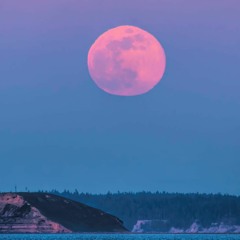 Pink Moon (Nick Drake Cover)