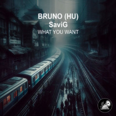 Bruno(HU) x SaviG - What You Want(Original Mix)