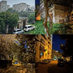 Momtabare - Vazisubani