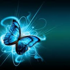 Erin - Butterflies (original)