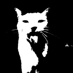 leverfall - regretful (Egirl Death Lo-Fi Remix)