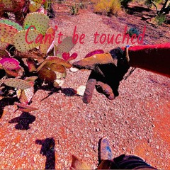 Cant be touched