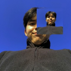 Colde(콜드) - your dog loves you