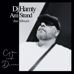 3. Dj Hamty - Fun in the Sun (Melly Vocal Mix)