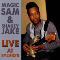 Magic Sam's Boogie (Live)