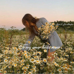 01 TE VOY AMAR HASTA MORIR SPANISH BALLADS XM SAT RADIO FT JON INTERFACE