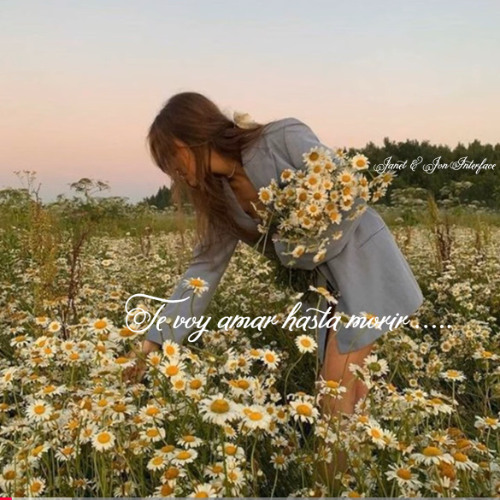 01 TE VOY AMAR HASTA MORIR SPANISH BALLADS XM SAT RADIO FT JON INTERFACE