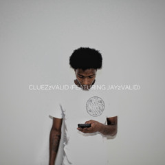 Cluez2Valid