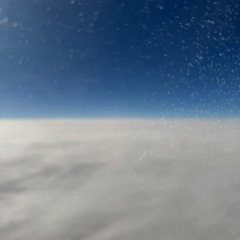 The Poetics of Light_Tone Poem