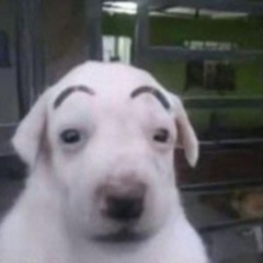 Slim Pickins - Sabrina Carpenter (cover)