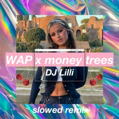 wap x money trees (slowed)