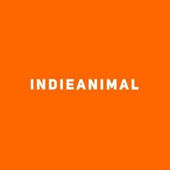 indieanimal top 8