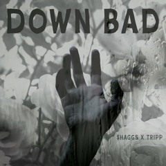 Down Bad ( Shaggs x Tripp)