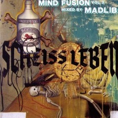 Madlib - Mind Fusion Vol 3: Dirty Crates from the Bottom 2005 • Mixed at 142857 Hz