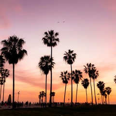 DREAM