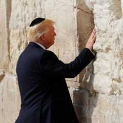 Watch Roam Fall Acts 26,27