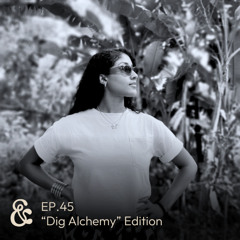 Dub & Effection | EP.45: "Dig Alchemy" Edition