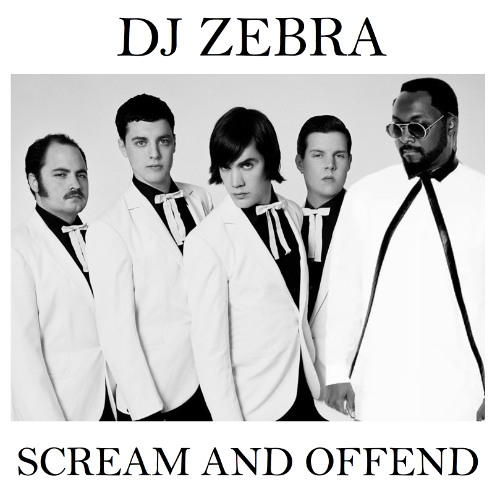DJ ZEBRA - Scream and Offend