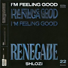 I'm Feeling Renegade
