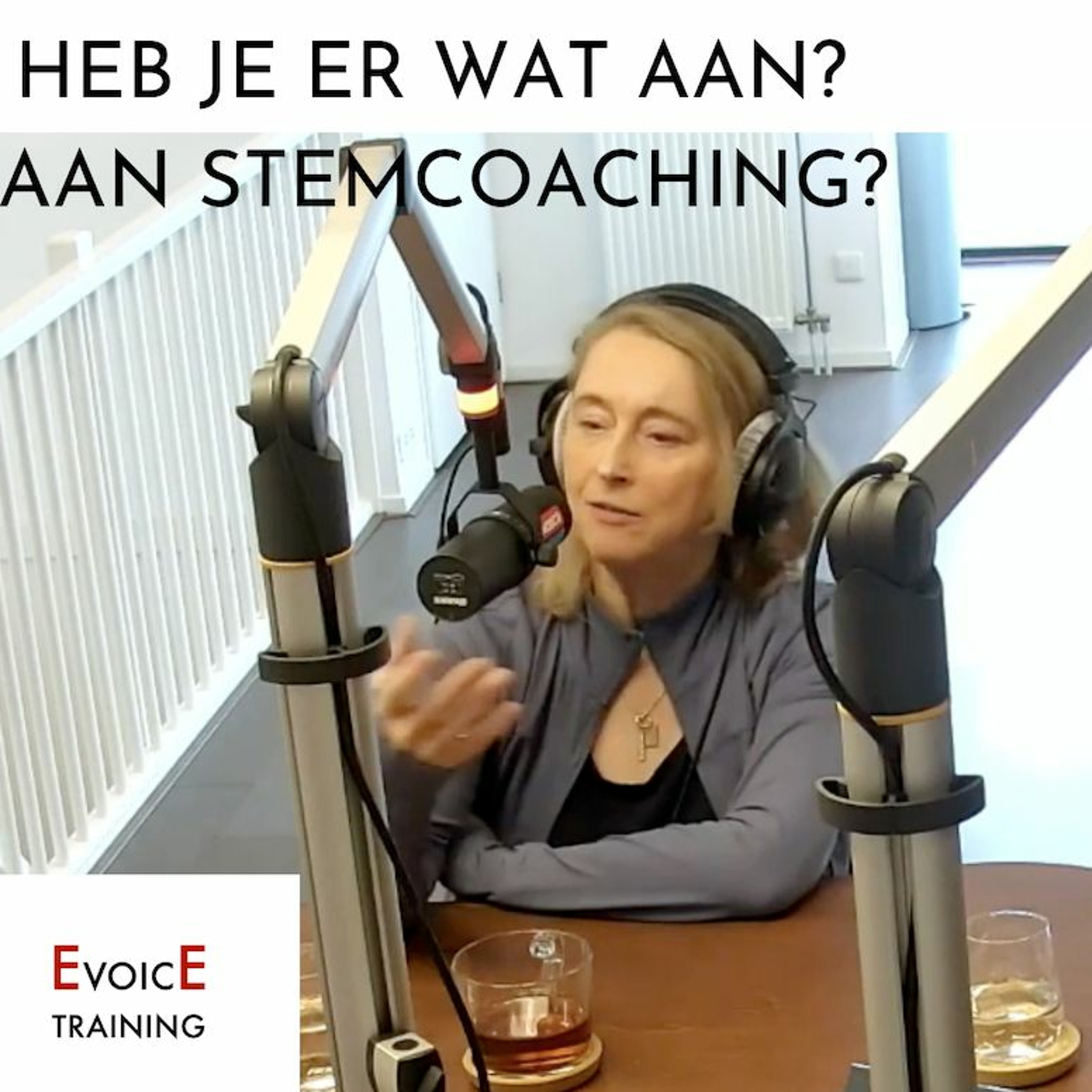 elizabeth ebbink evoicetraining