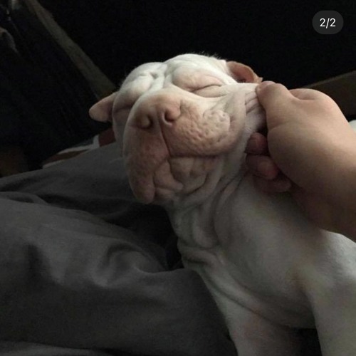 digging into trip 25 내가 듣던 그때 그 힙합