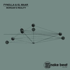 Fynolla & El Maar - Morgan's Reality