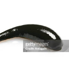 Yaya x Liwoo2Tact - Leech (OLD)