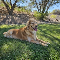 WangBang pres Wang Stop 007. OCT 2025 Mix