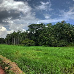 Olenjali kuruvi - Srikanth C Menon