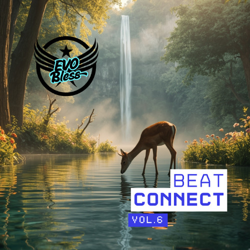FIRE UP THE DANCEFLOOR! 🔥 BEAT CONNECT VOL.6 - Mix Tech House & Tribal - EVO Bless
