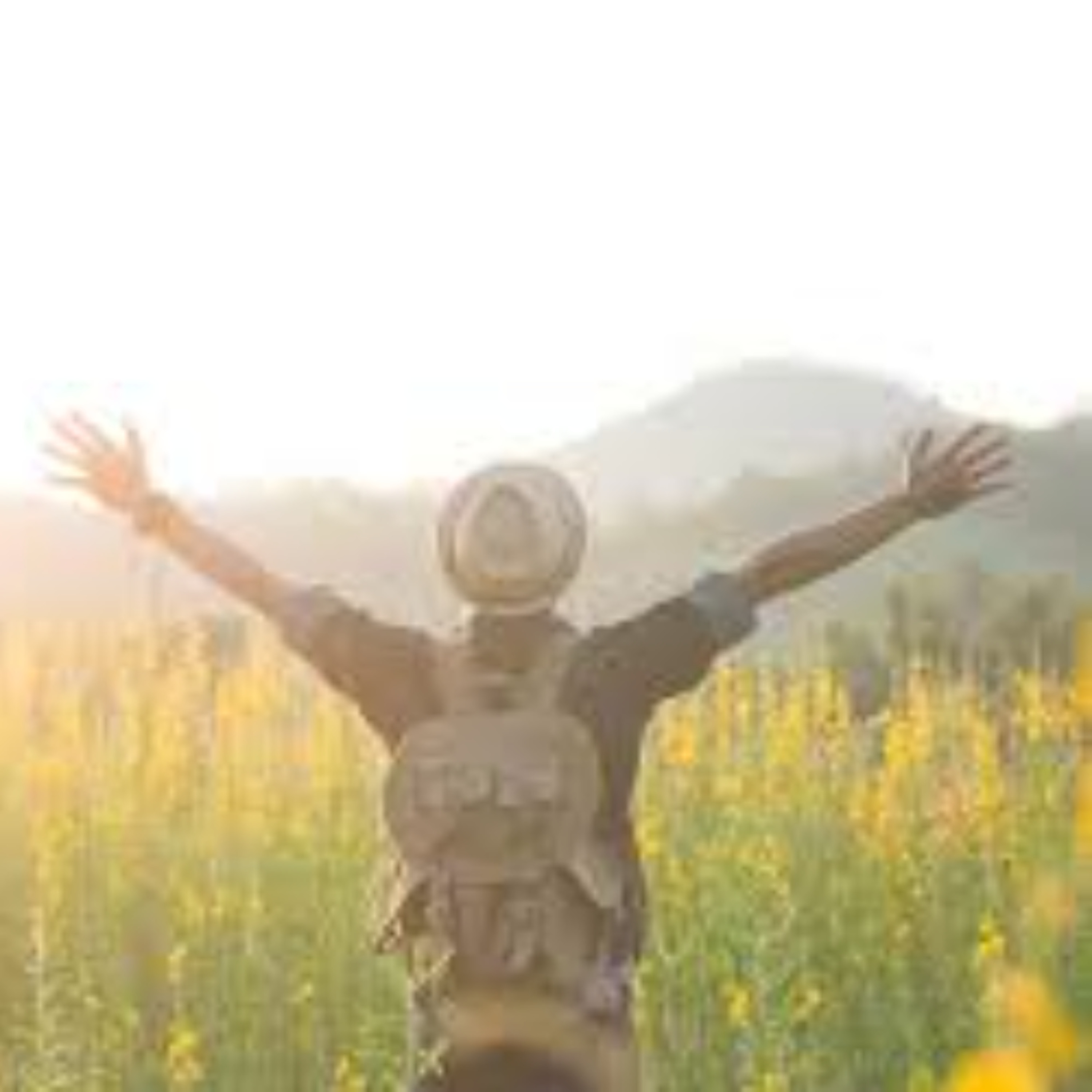 חיים כזכות: פנומנולוגיה של חירות, כבוד ונאמנות באתוס היהודי - מאמר לליל הסדר ולחג הפסח