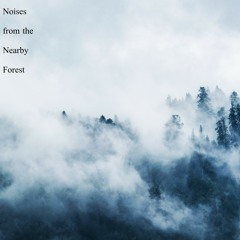 Forest Calm Noises