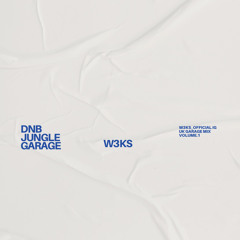 W3KS [MINI SET] JUNGLE/GARAGE/SPEED HOUSE