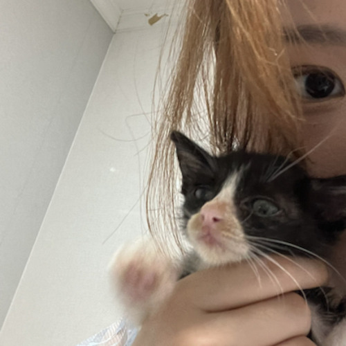 what you need it what_.wav