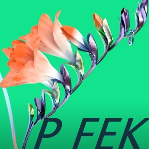 Flume - Trust (P fek Bootleg)