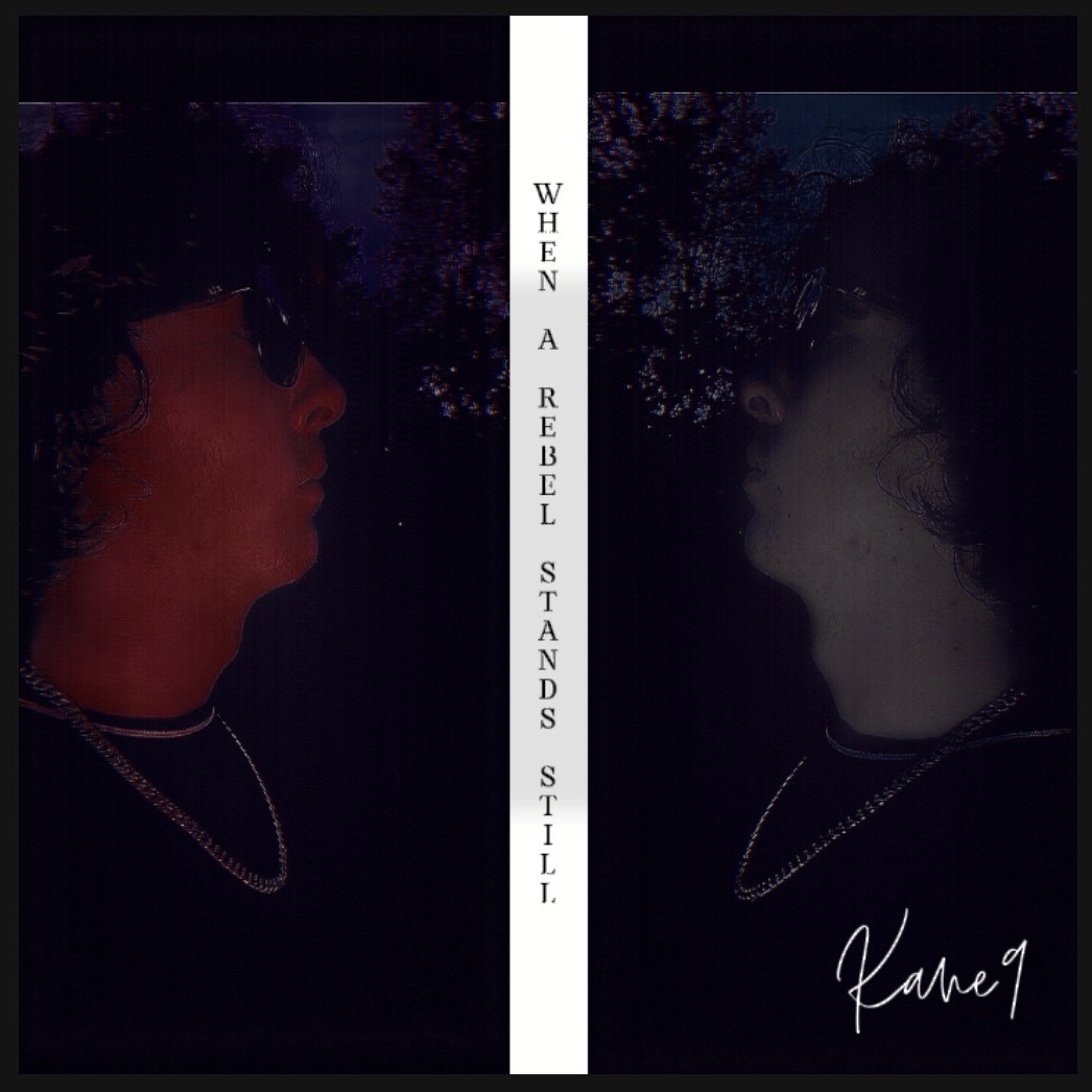 When A Rebel Stands Still episode artwork