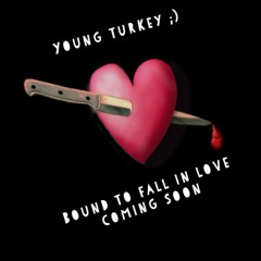 Bound to fall In love (slowed+reverb)