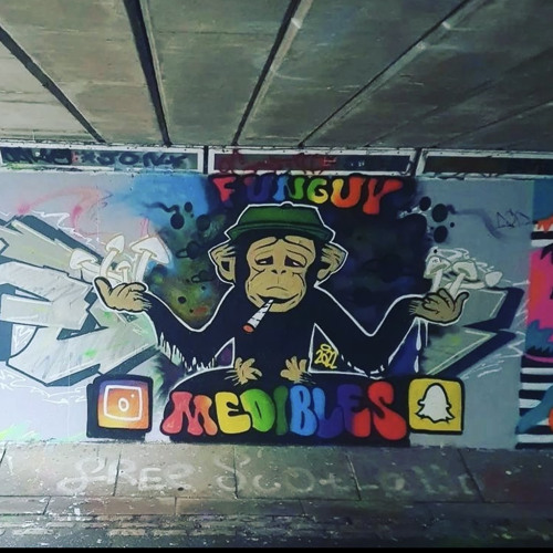 CADET SLUT FREESTYLE