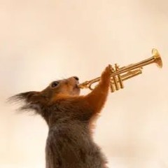 Wake Up Trumpet