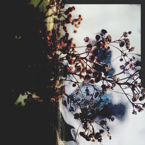 Sebastian Kamae & Dontcry - Hibernation