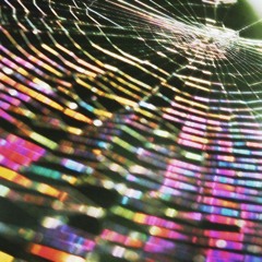 web #dontwastemytime