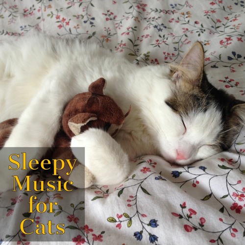 music that calms cats