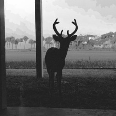 Air Befalls Thunder.wav