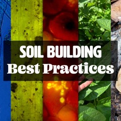 Soil Building Best Practices with Matt Powers [FULL WEBINAR]