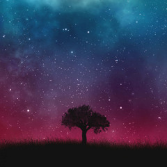 Dwelling Between Dimensions